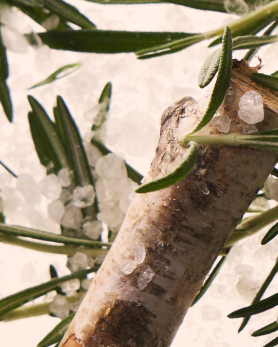 Birch Spa Body Wash